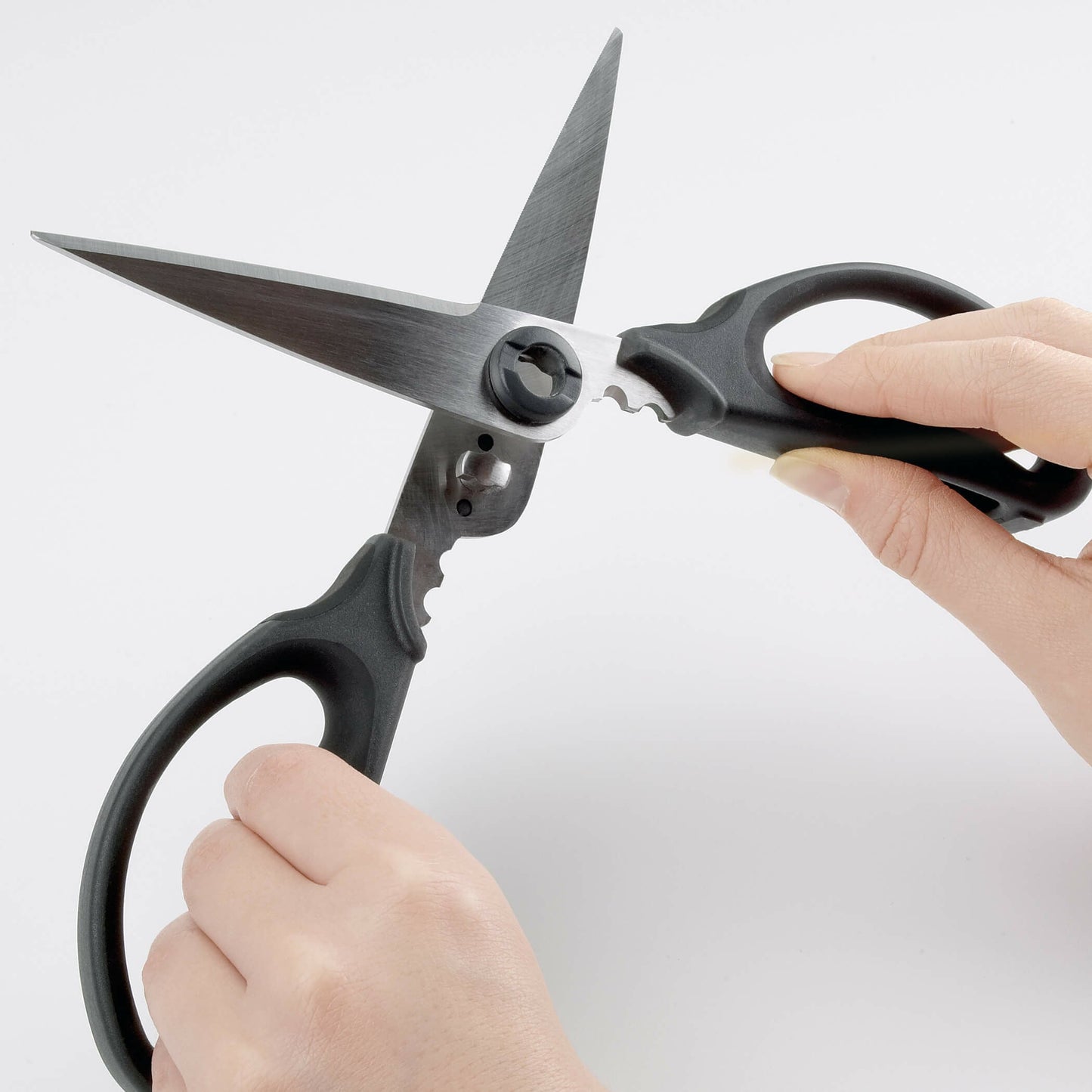 kitchen-and-herb-scissors-d1 gg_1072121_4_1_.jpg