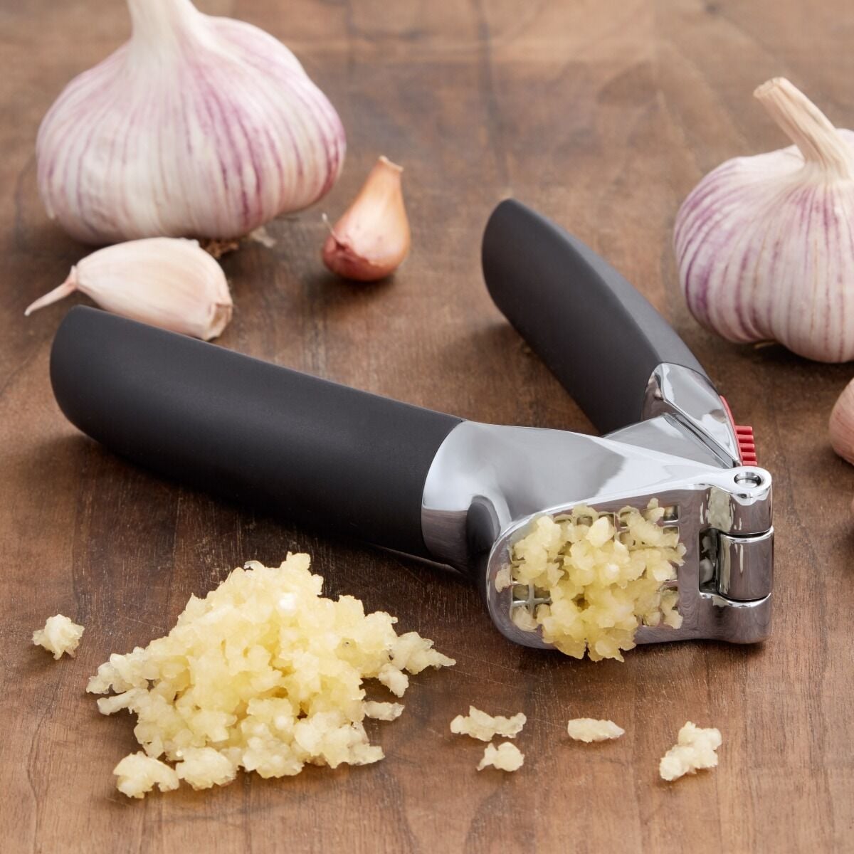 garlic-press-e4 gg_11107400_9.jpg
