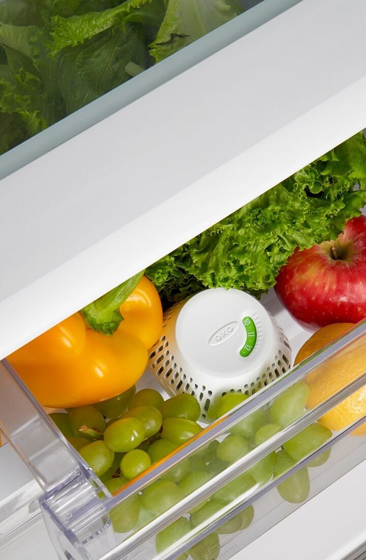 greensaver-standing-crisper-insert-1-pc-x5 gg_111212800_1b.jpg