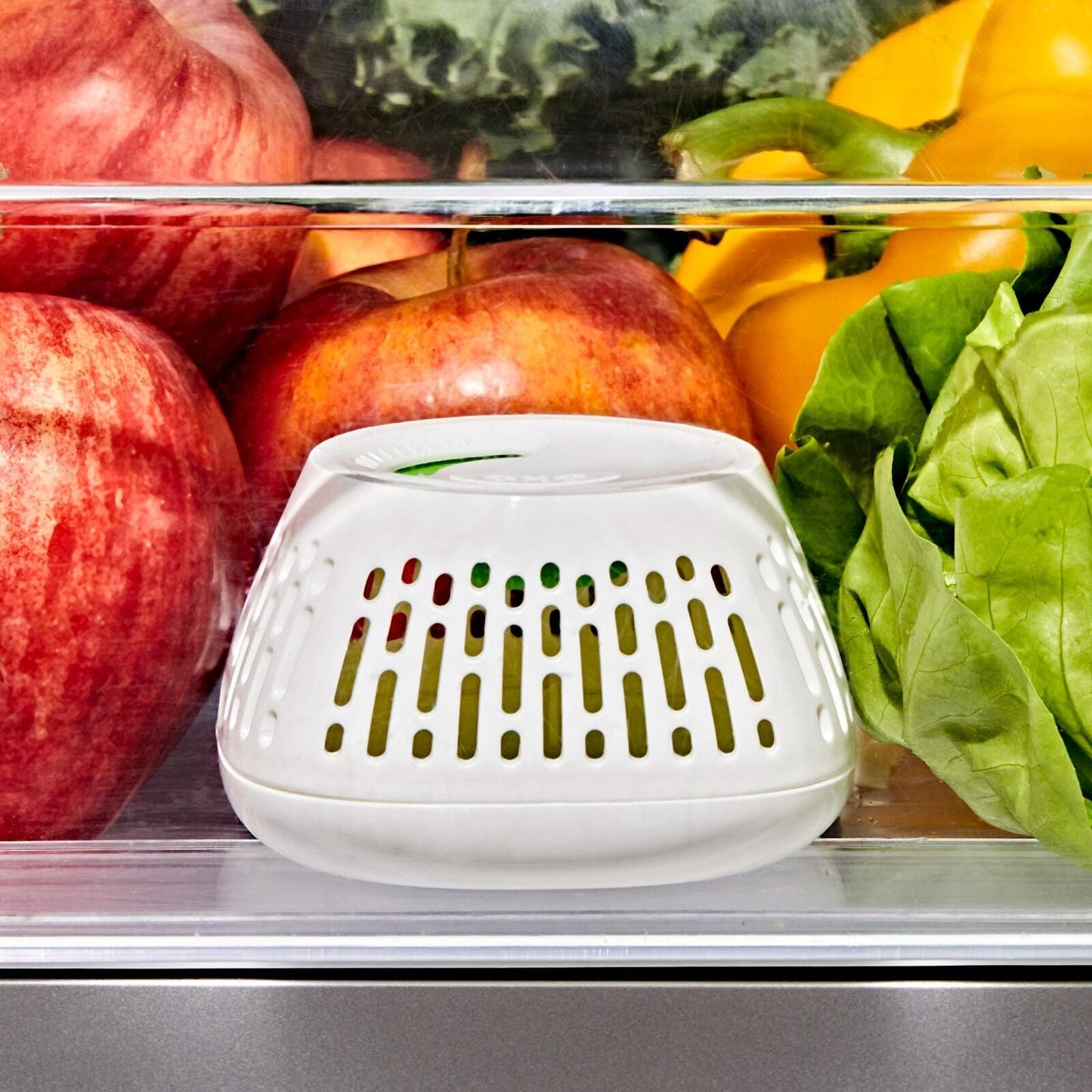 produce-saver-crisper-drawer-insert-2-pack-p1 gg_11427700_greensaver-crisper-drawer-insert_pdp_02.jpeg