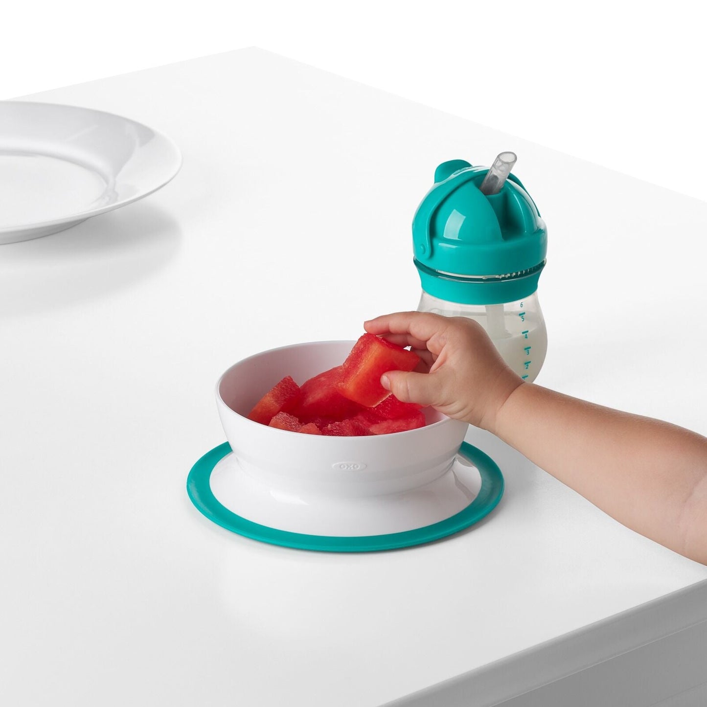 stick-and-stay-suction-bowl-s5 tot_61120600_4i.jpg