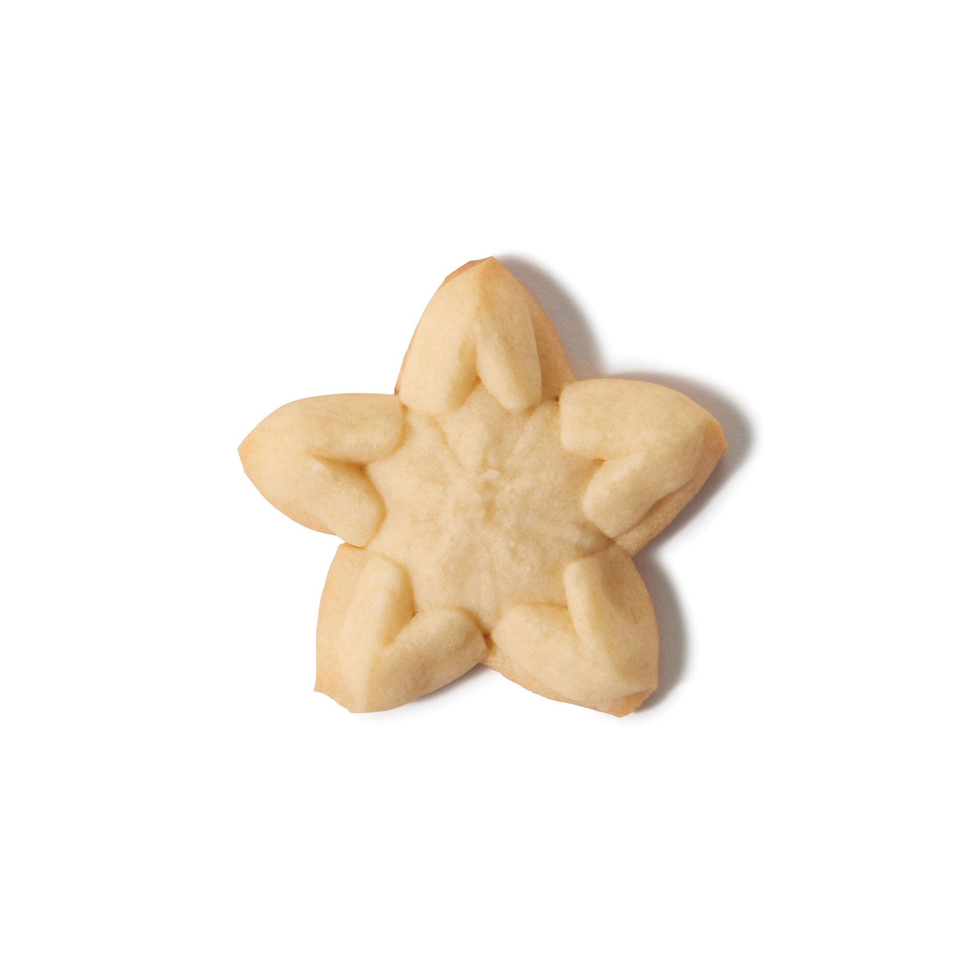 christmas-cookie-press-disk-set-w6 11177800_6_-star.jpg