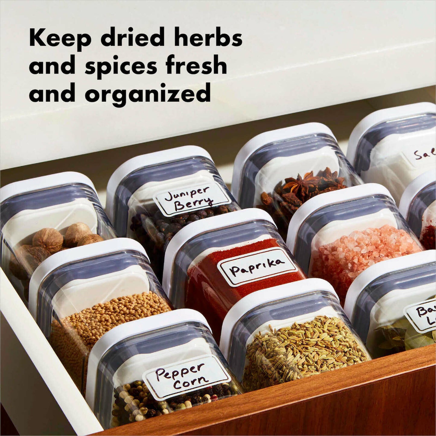 pop-4-piece-mini-container-set-s4 4_pieceaplusartboard_1-100_1_1_.jpg