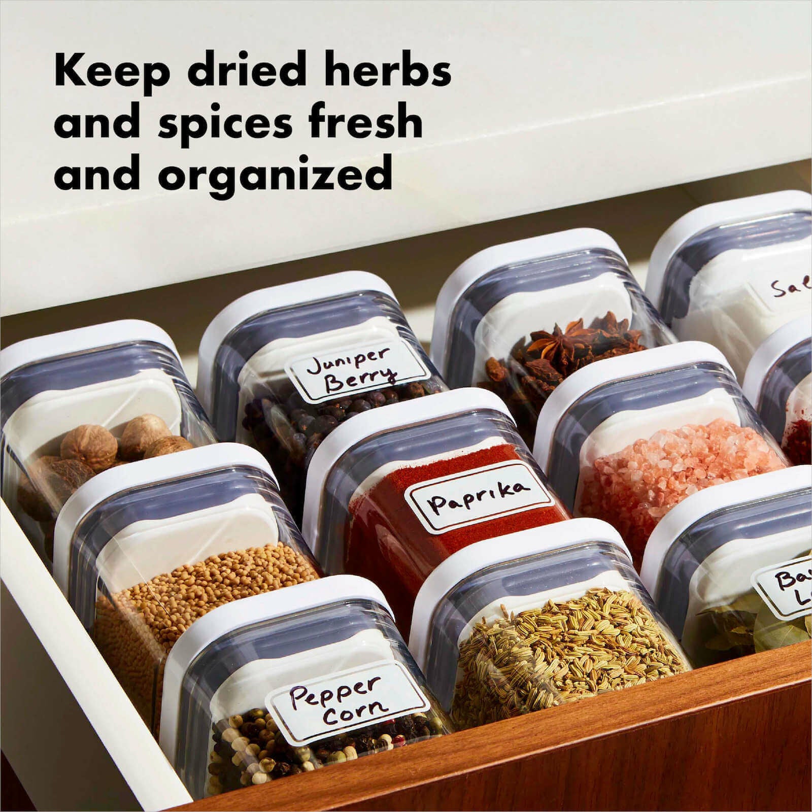 pop-4-piece-mini-container-set-s4 4_pieceaplusartboard_1-100_1_1_.jpg