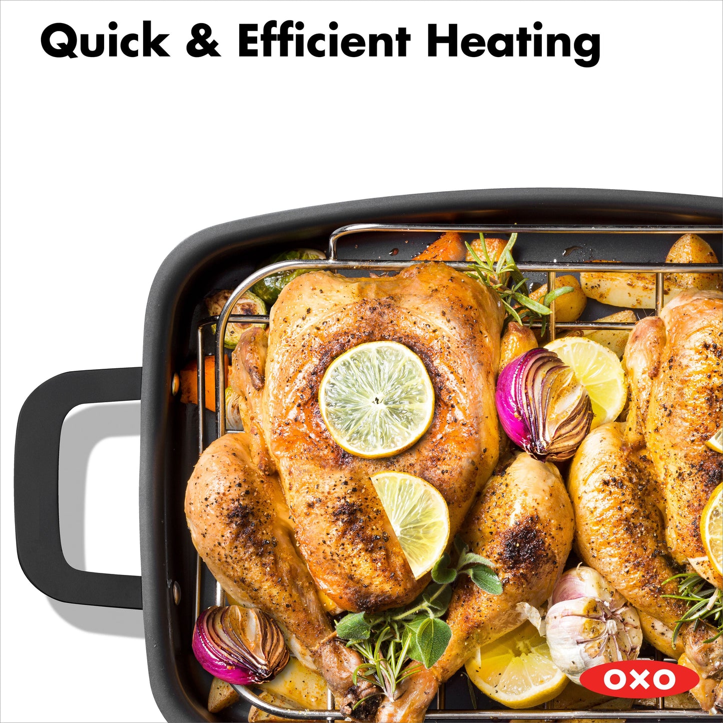 carbon-steel-obsidian-series-roaster-with-rack-s1 cc005106-001-7.jpg
