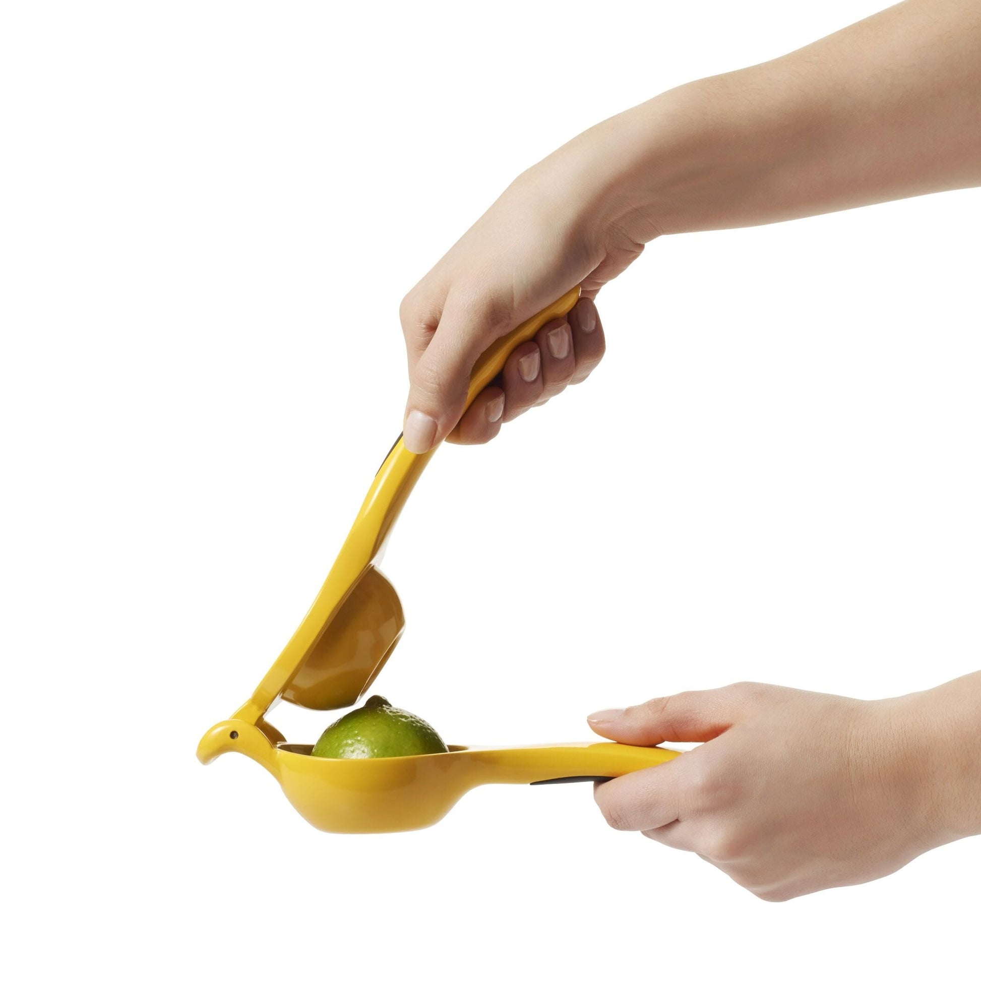 citrus-squeezer-r4 gg_1057962_4a.jpg