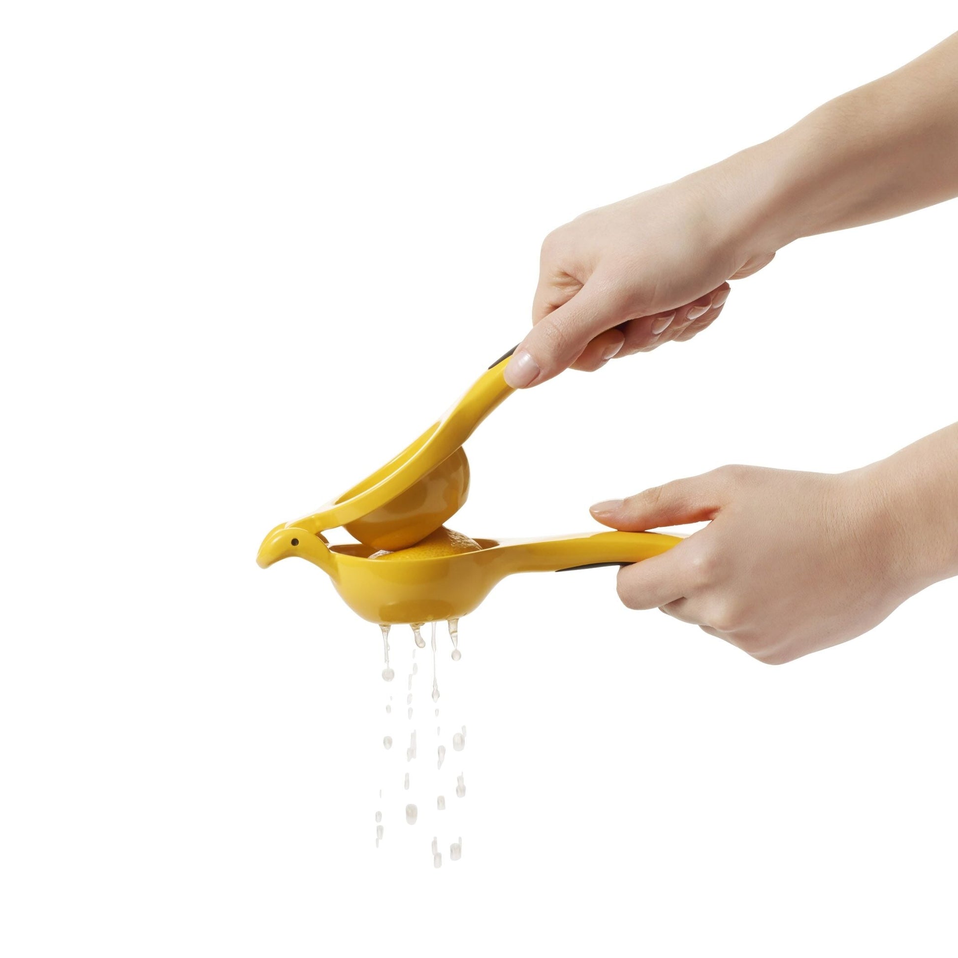 citrus-squeezer-r4 gg_1057962_4b.jpg
