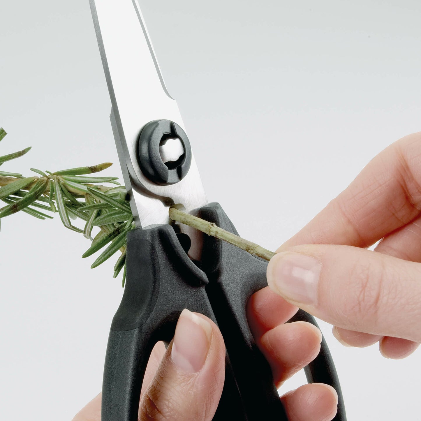kitchen-and-herb-scissors-d1 gg_1072121_3_1_.jpg