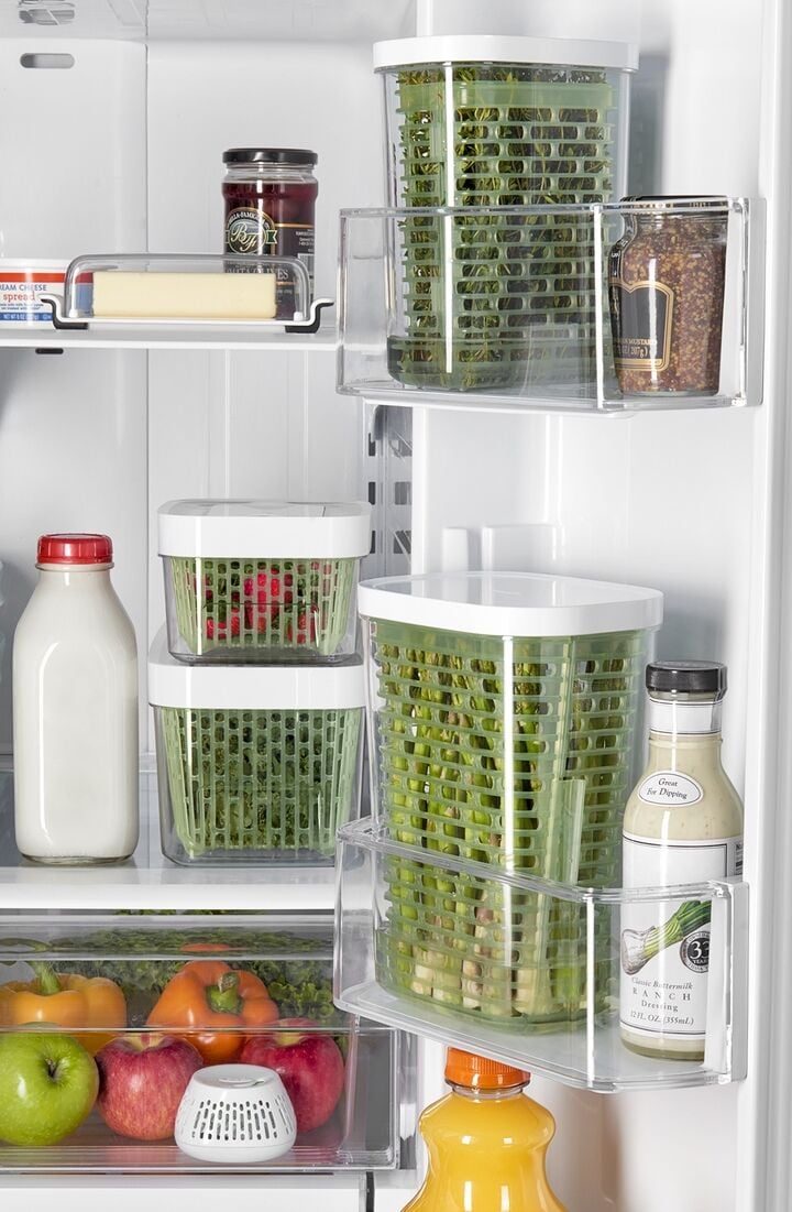 greensaver-standing-crisper-insert-1-pc-x5 gg_111212800_1a.jpg