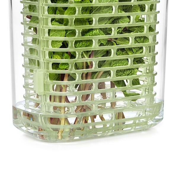 greensaver-herb-keeper-small-b2 gg_11212200_7.jpg