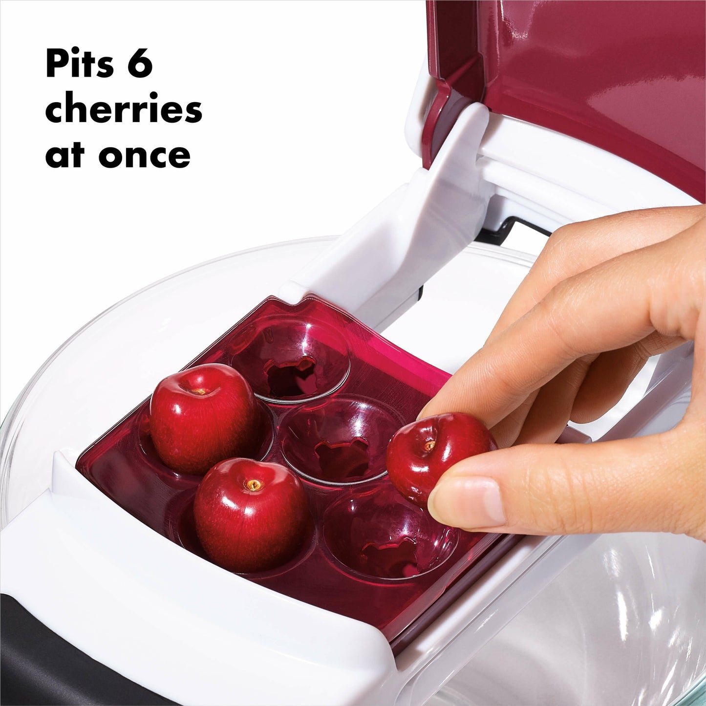 quick-release-multi-cherry-pitter-b5 gg_11303300_8_1_.jpg