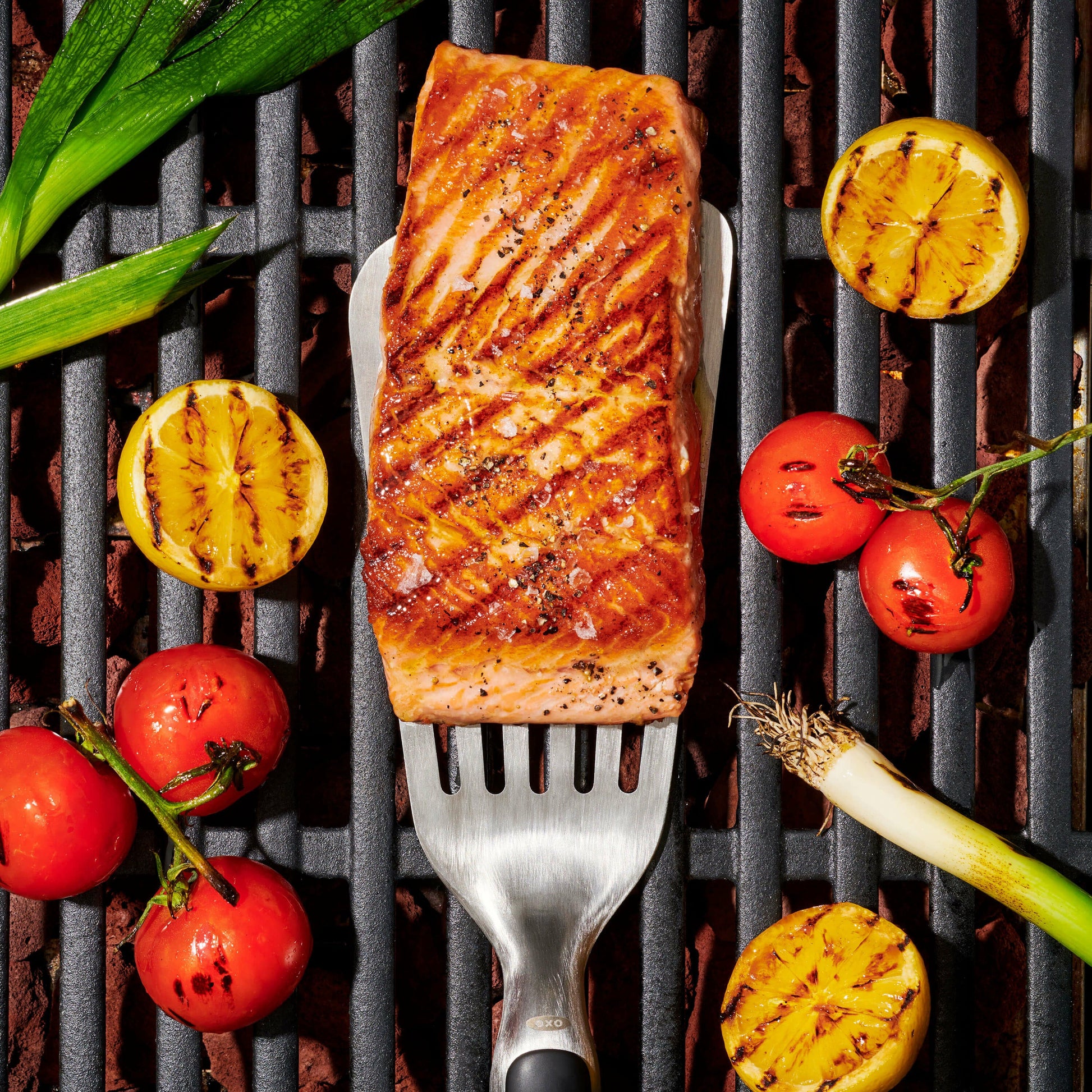 grilling-precision-turner-a9 gg_11309200_052020_11_rgb_1_.jpg