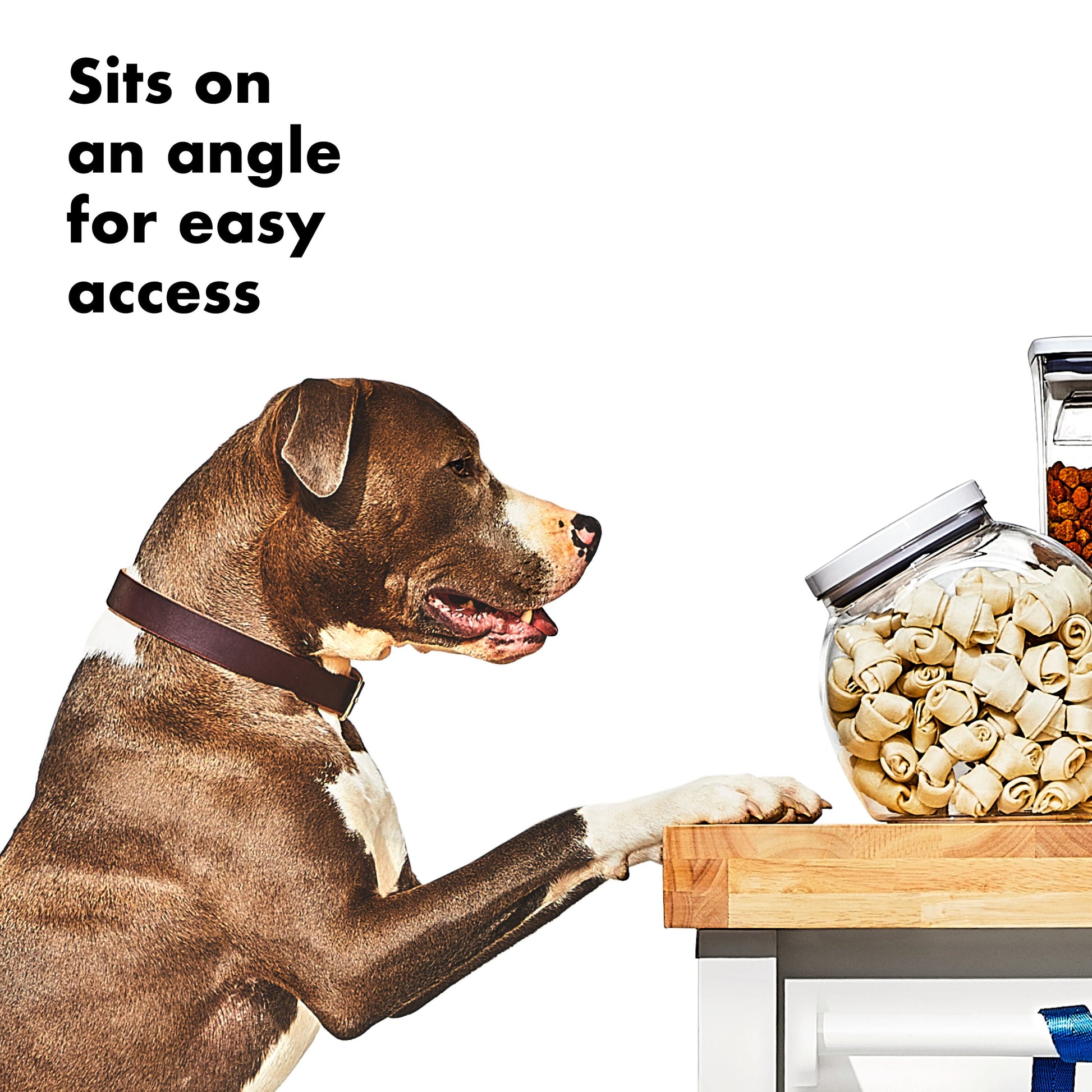 oxo-good-grips-pet-pop-container-3-0-qt-2-8-l-a1 gg_11332400_8b.jpg