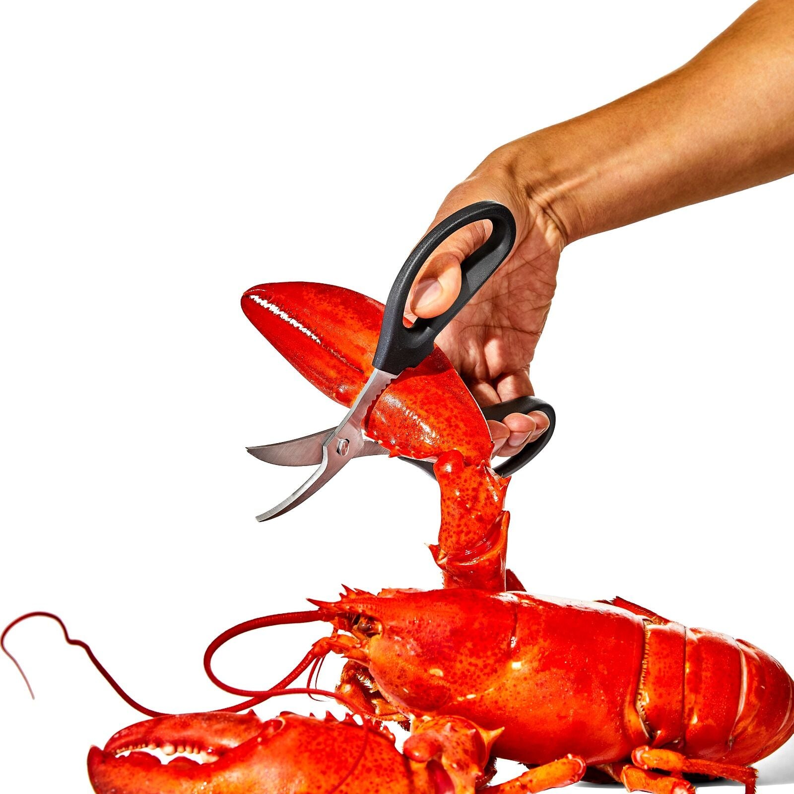 seafood-scissors-q0 gg_11350600_seafoodscissors_03_p.jpg