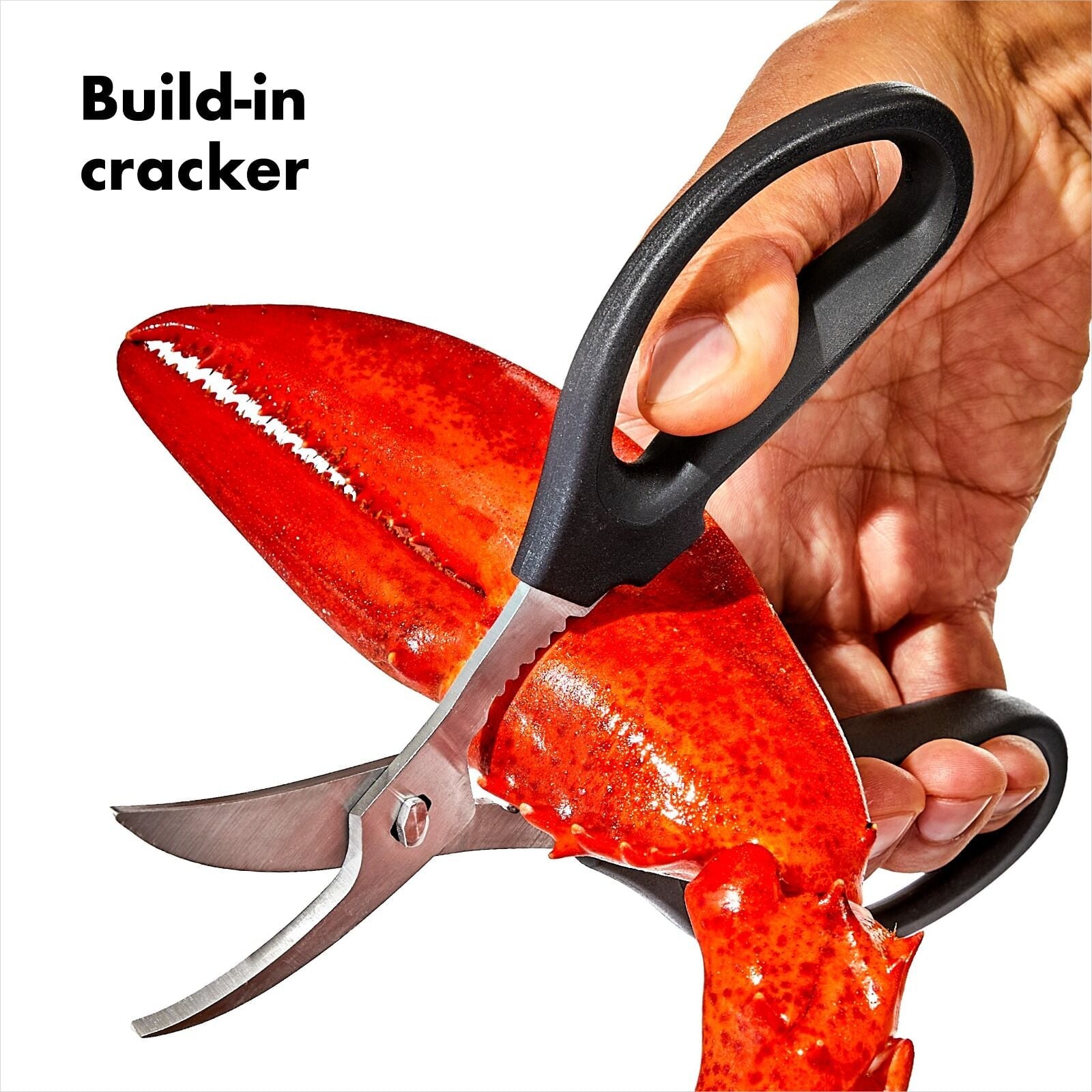 seafood-scissors-q0 gg_11350600_seafoodscissors_apdp_02.jpg