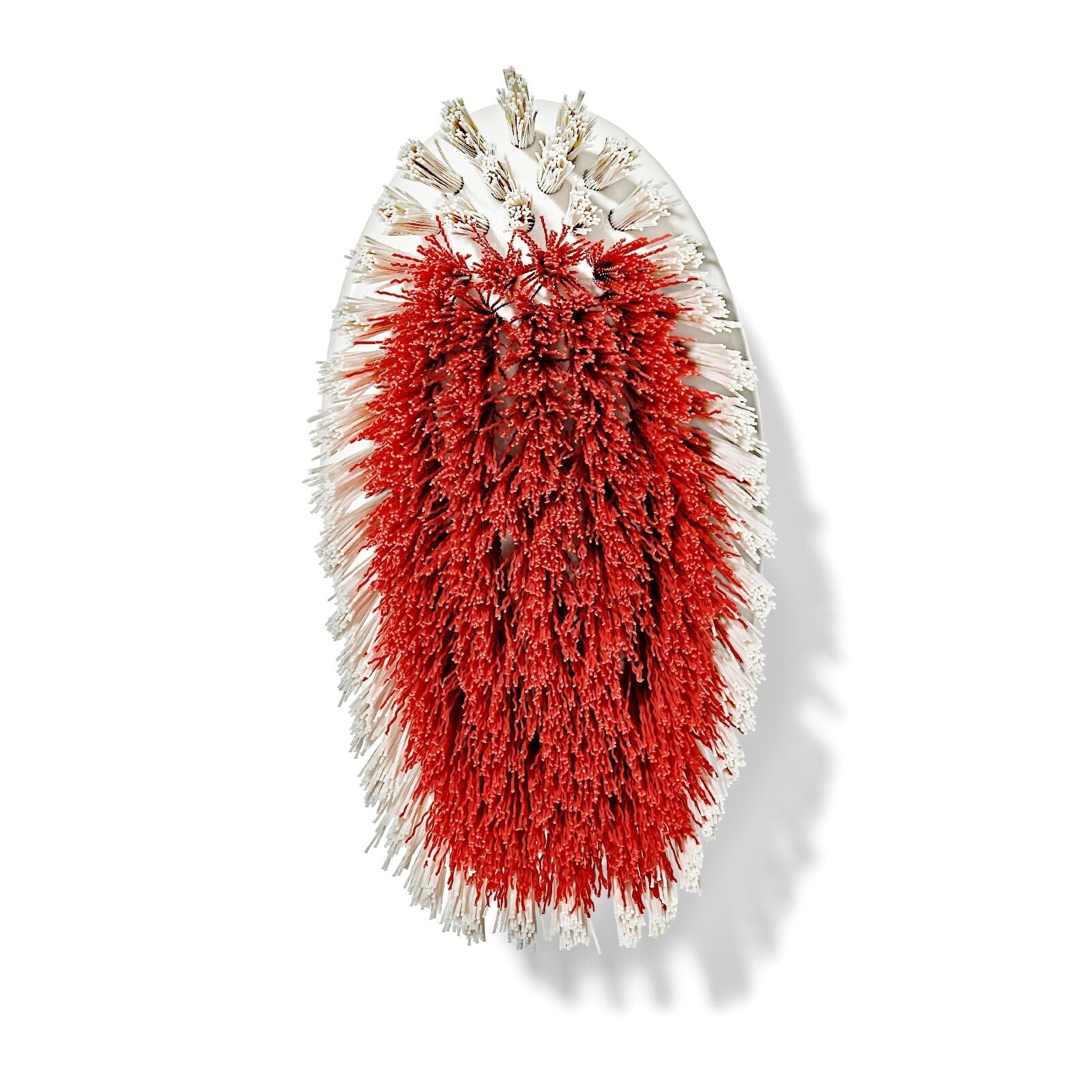 all-purpose-scrub-brush-2-pack-o8 gg_12426000_scrub-brush-2-pack_pdp_07.jpeg