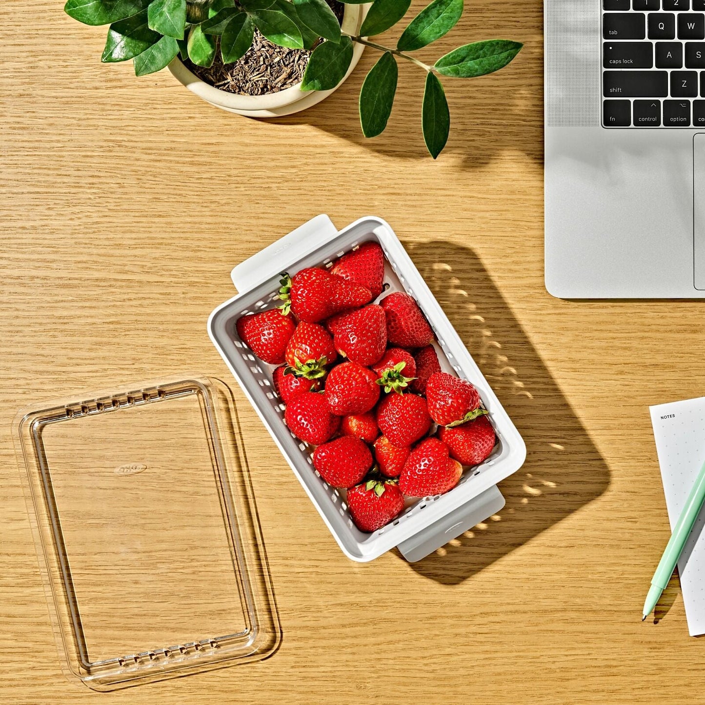 produce-saver-berry-keeper-2-piece-set-p0 gg_berry-keeper-produce-saver_pdp_01_1_.jpg