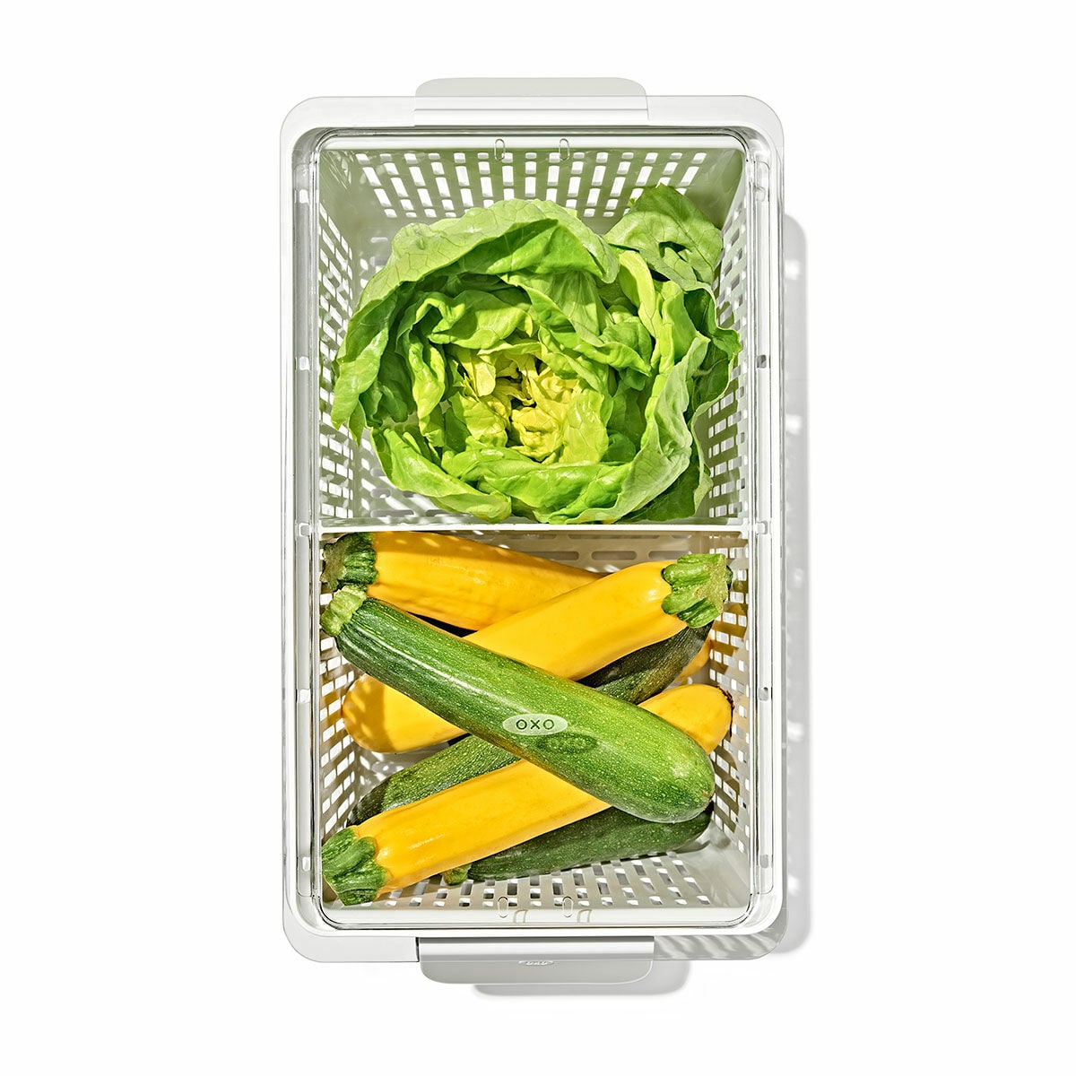 produce-saver-large-bin-s6 gg_sw_produce-saver-large_02.jpg