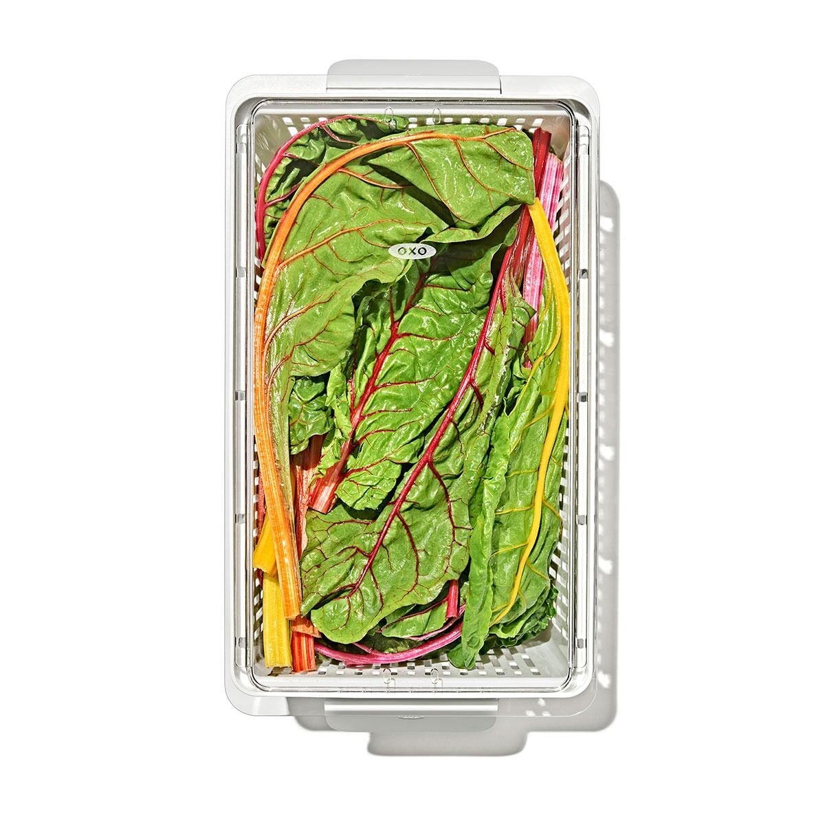 produce-saver-large-bin-s6 gg_sw_produce-saver-large_10.jpg