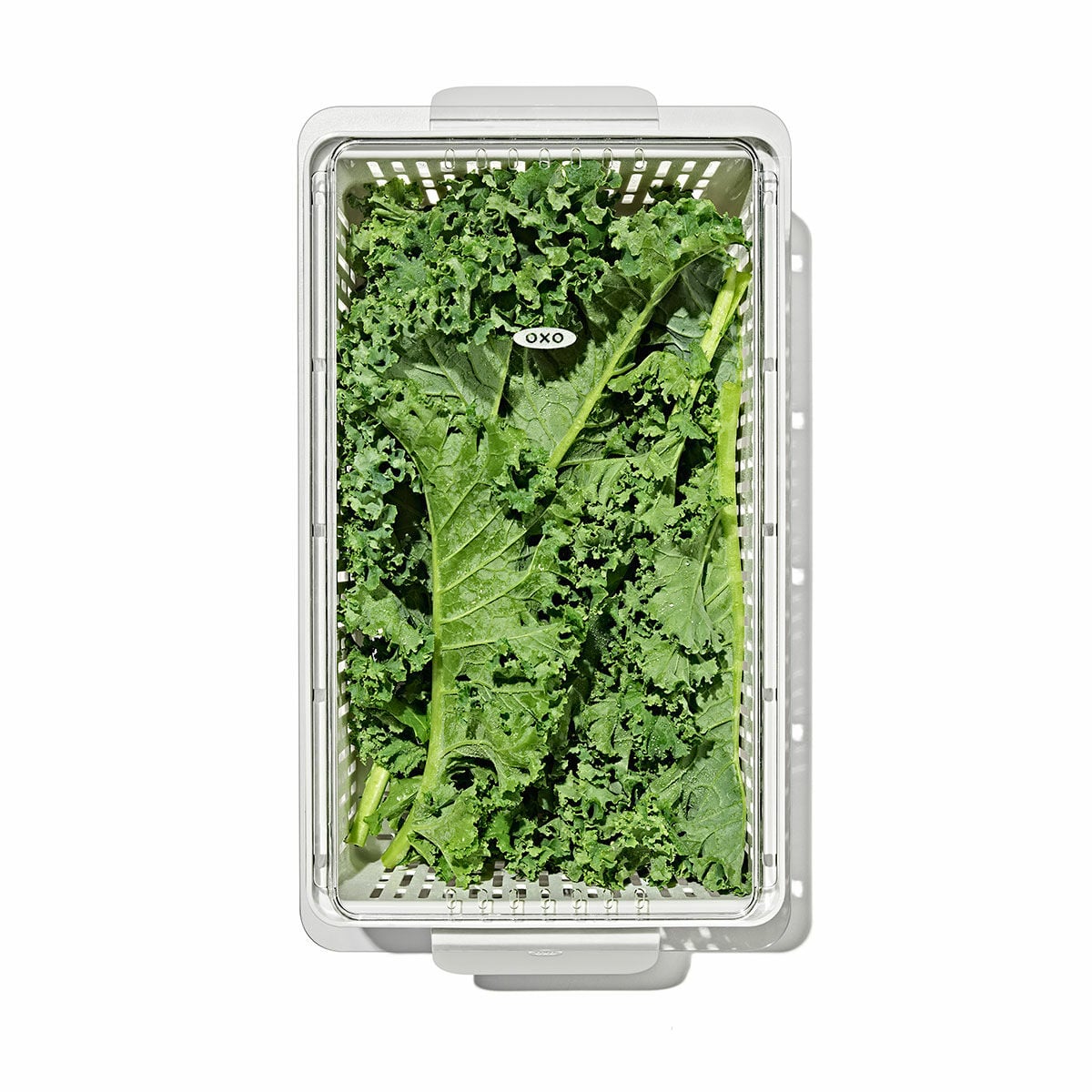 produce-saver-medium-bin-b6 gg_sw_produce-saver-medium_05.jpg