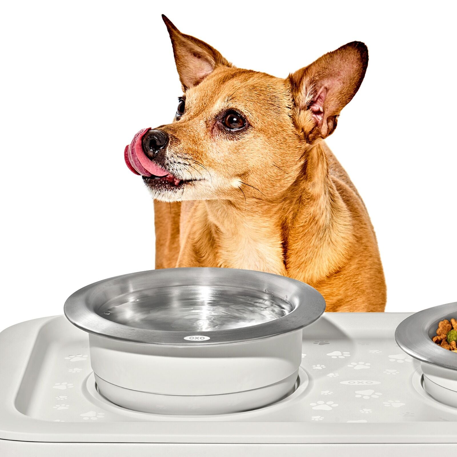 oxo-pet-nonslip-bowl-medium-2-cups-480-ml-v1 pet_7101900_nonslip-medium-bowl_pdp_02.jpeg