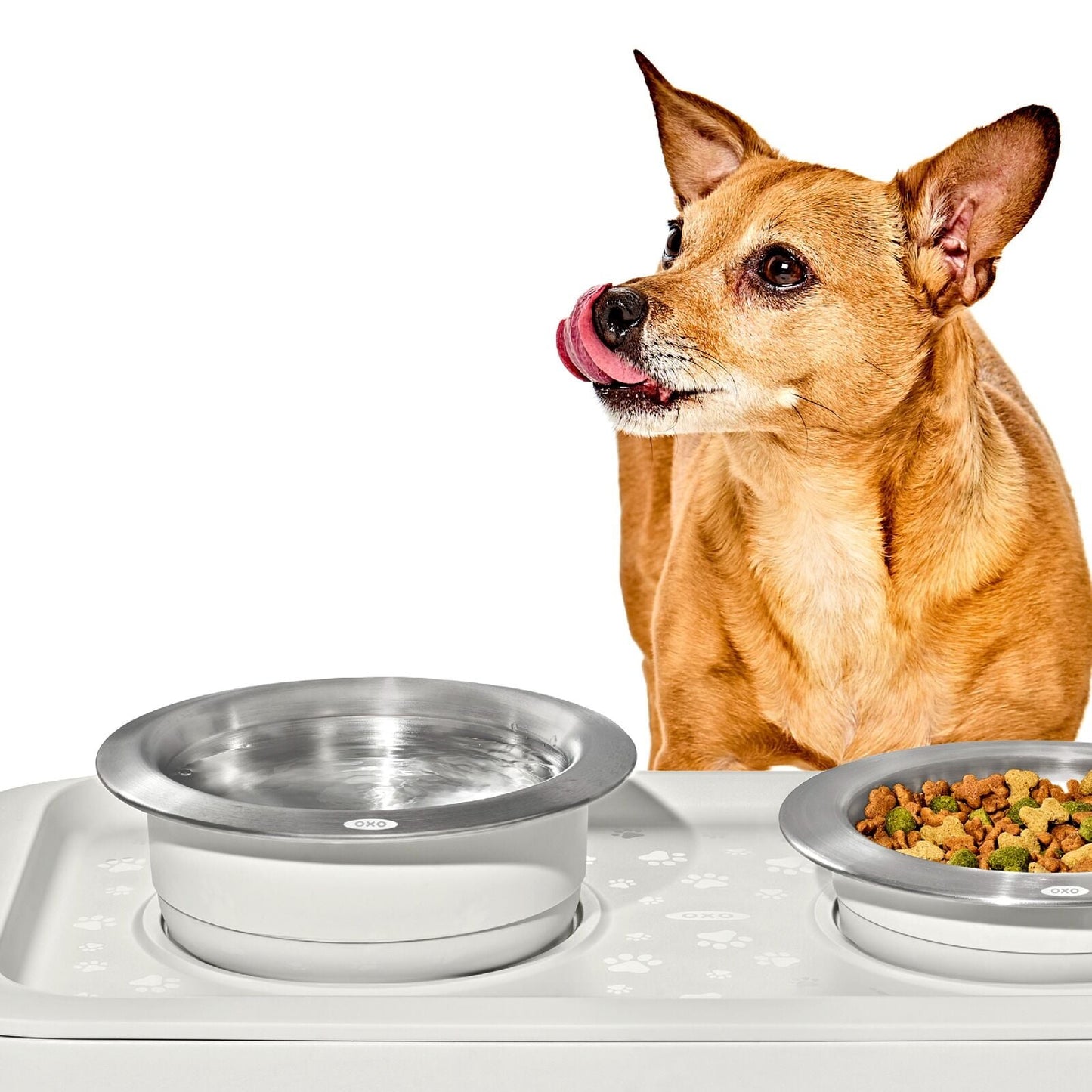 oxo-pet-nonslip-bowl-large-4-cups-950-ml-o2 pet_7102000_nonslip-large-bowl_pdp_02.jpeg