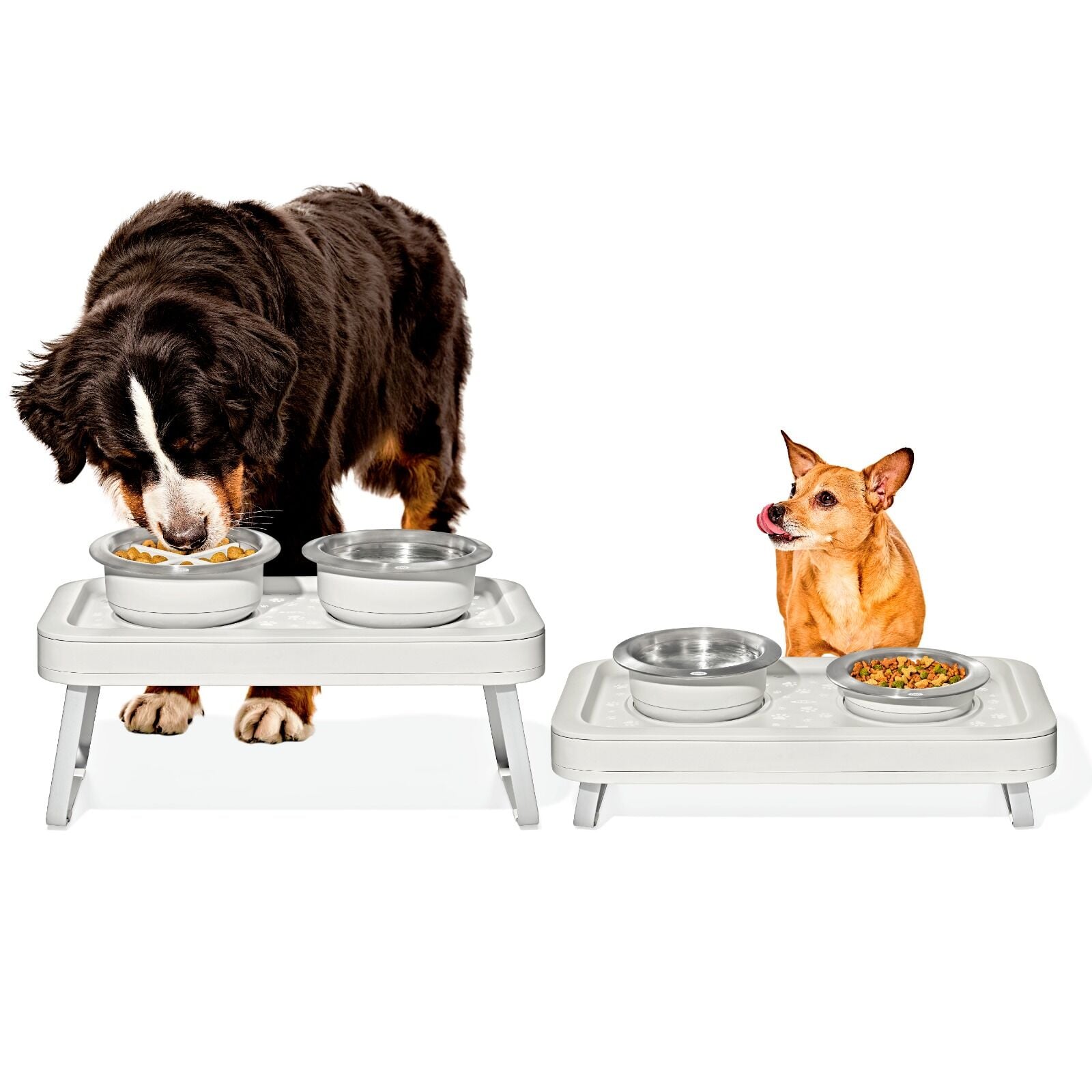 oxo-pet-adjustable-elevated-feeder-n6 pet_7102300_elevated-feeder_pdp_01.jpeg