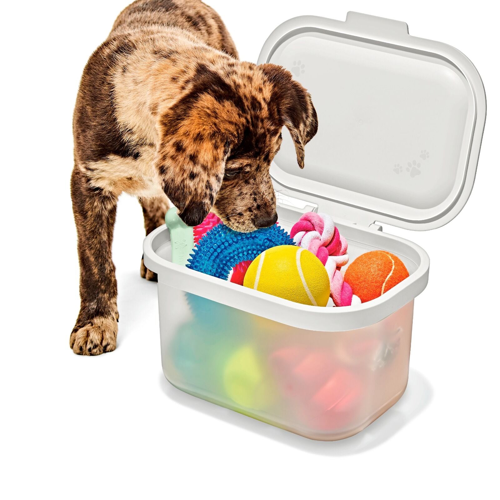 oxo-pet-multi-purpose-container-e6 pet_7301300_multi-purpose-container_pdp_06.jpeg