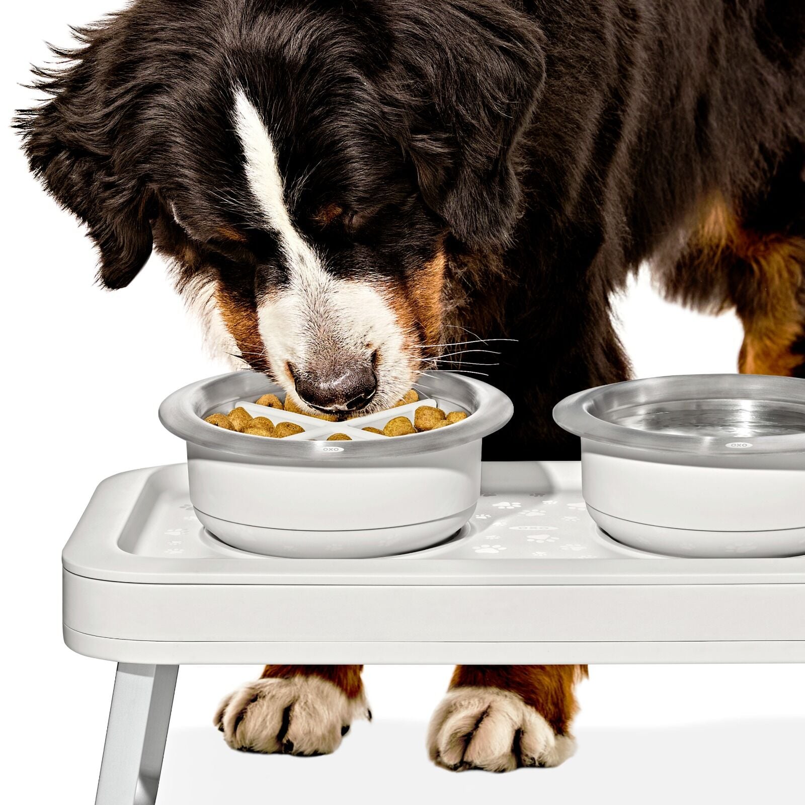 oxo-pet-easy-clean-slow-feeder-large-4-cups-950-ml-i4 pet_slow-feeder-medium-large_pdp_02.jpeg