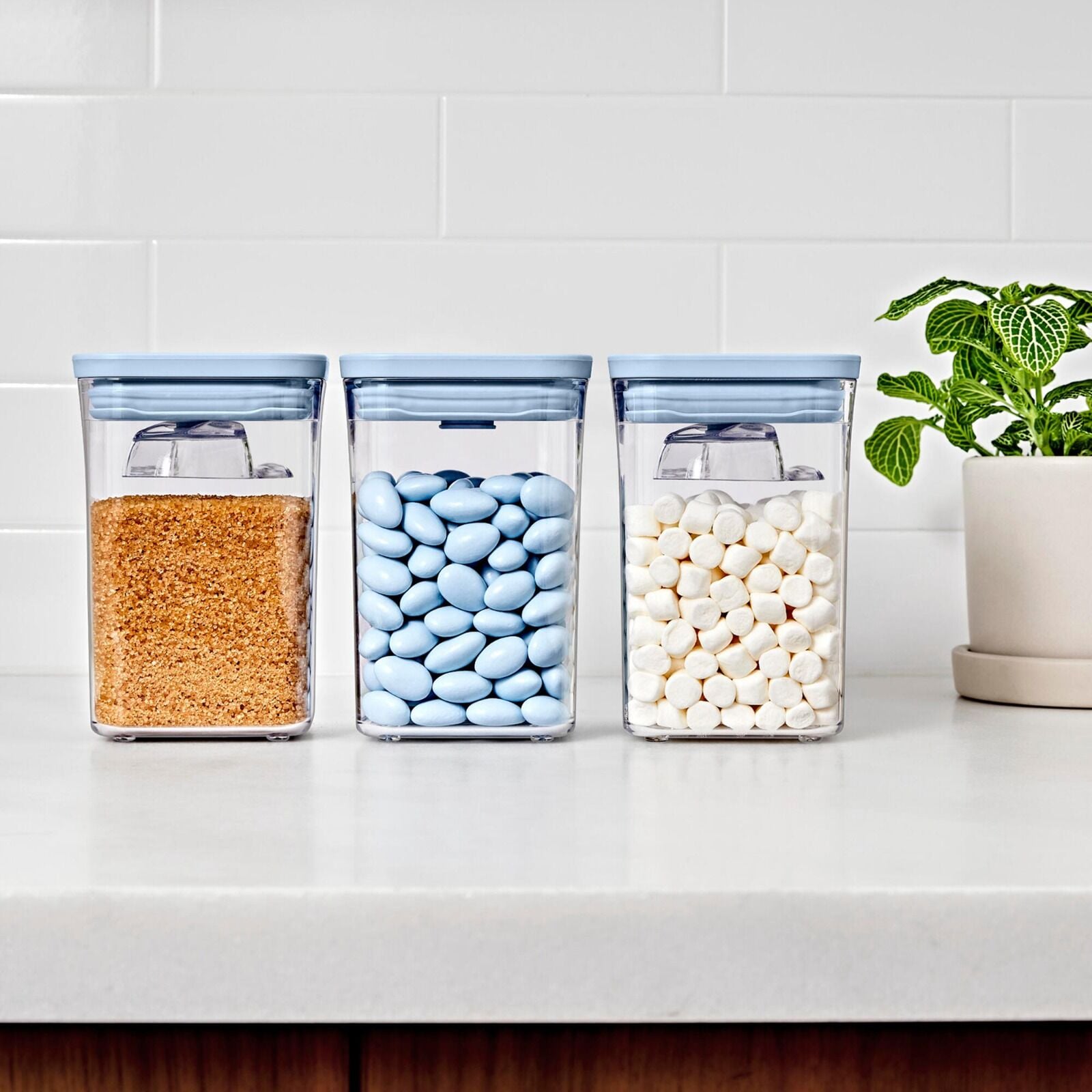 3-piece-pop-container-set-with-mini-scoops-r2 pop_3pc-set-sky-blue_pdp_02.jpg
