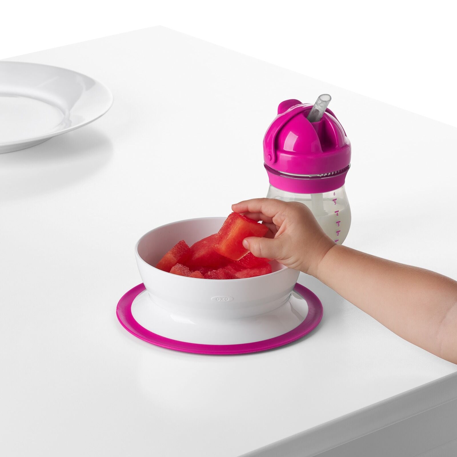 stick-and-stay-suction-bowl-t5 tot_61120500_4i.jpg