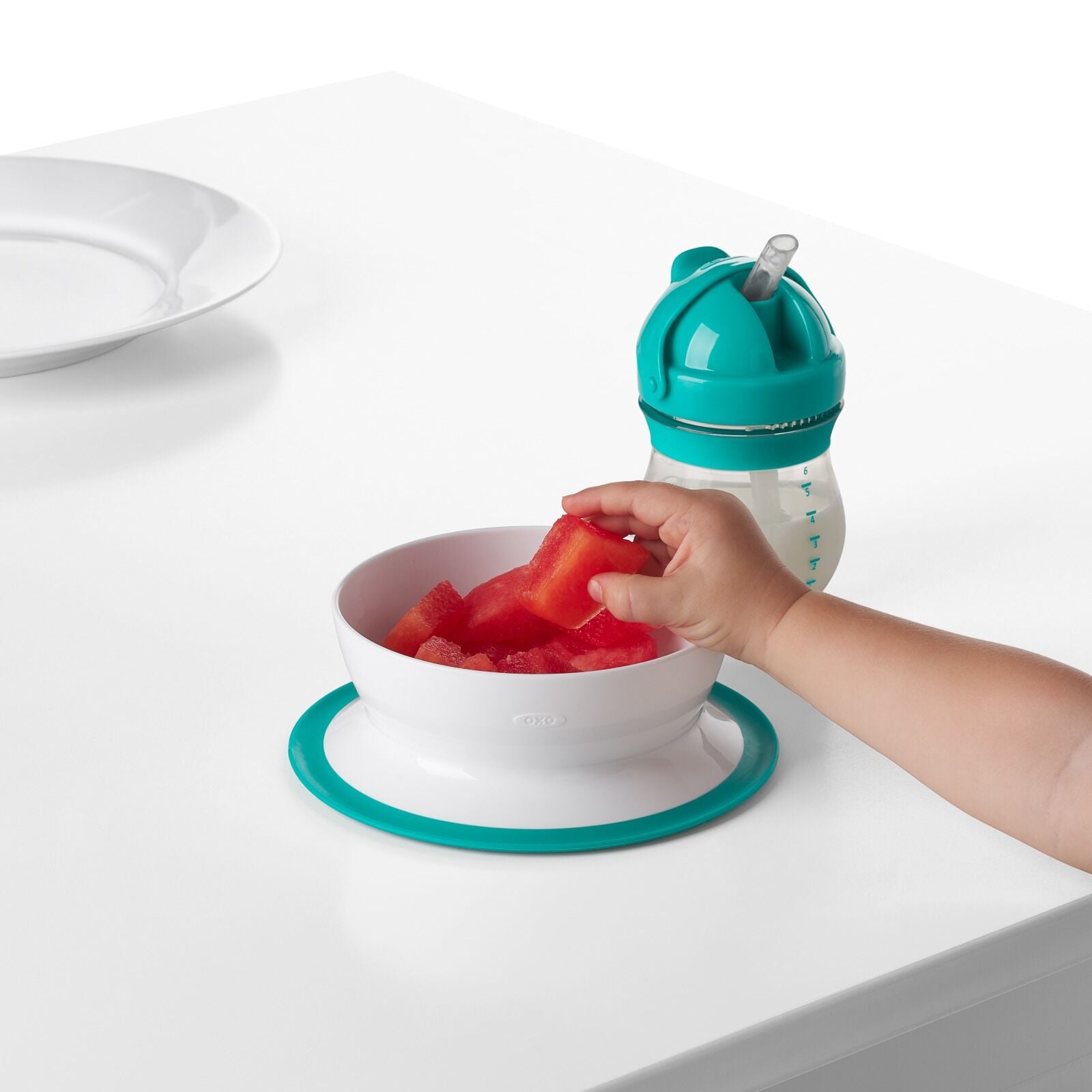 stick-and-stay-suction-bowl-s5 tot_61120600_4i.jpg